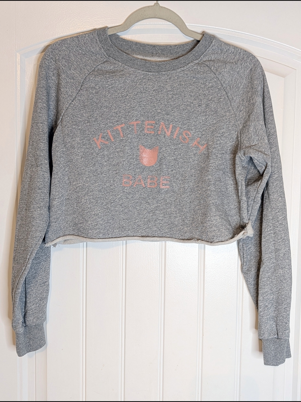 Kittenish Babe Gray and Pink Cropped Pullover Graphic Sweatshirt